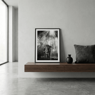 Nature Photography Wall Art showing elephant beneath radiant canopy