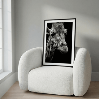 Giraffe Photography Poster framed view against dark negative space