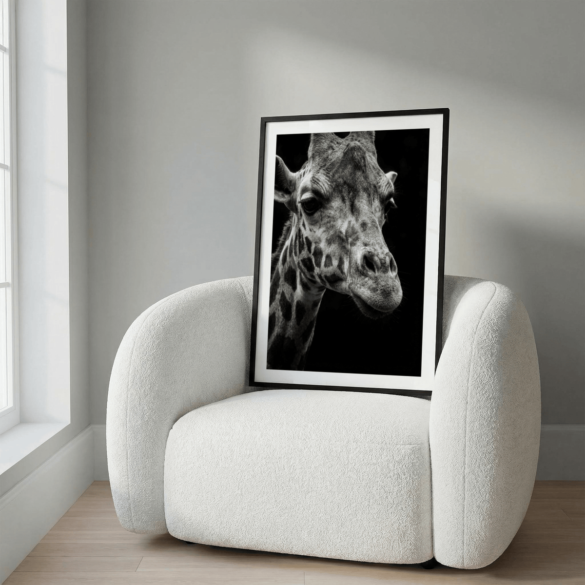 Giraffe Photography Poster framed view against dark negative space