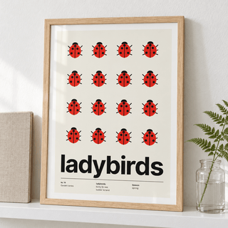Swiss style ladybird print on a shelf beside a sunny window