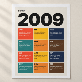 Close view of the 2009 birth year print in retro tile colours on matte paper