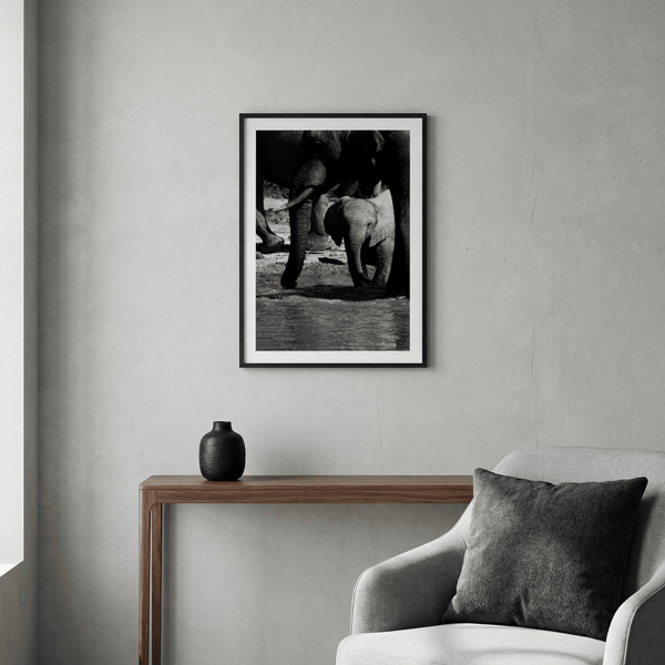 Vertical wall poster of elephants wading at shoreline in black and white