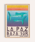 La Paz Mexico Poster with two whale sharks and vintage LA PAZ lettering