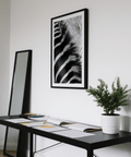 Cropped zebra hide stripes wall art poster close-up
