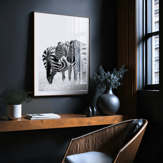 Close wildlife shot of zebra manes and ears detailed