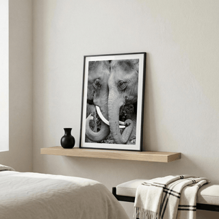 Close-up wildlife print of two elephants touching, tusks crossing in frame