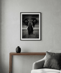 Centered elephant portrait print with deep wrinkles and sweeping tusks