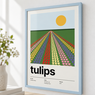 Close view of the striped Dutch tulip fields to the horizon showing the fine print detail