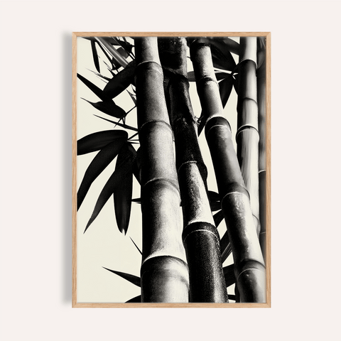 Bamboo Black and White Print wall art for living room in Black and White