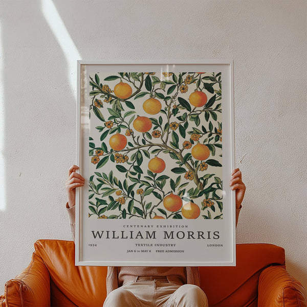 Botanical large vintage posters featuring oranges on cream background