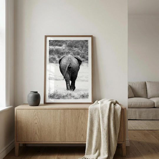 Elephant Departure