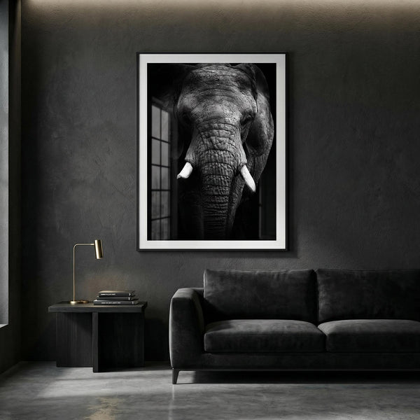 Framed artwork of an elephant on a dark wall above a sofa.