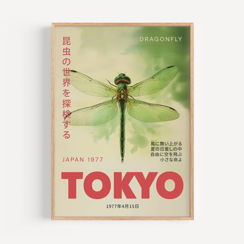 Minimalist dragonfly poster in Japandi style