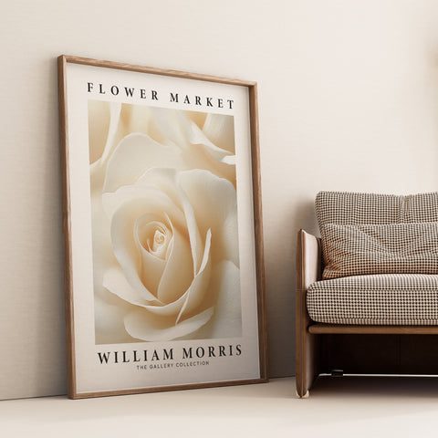 Classic white rose art print for refined living room decor
