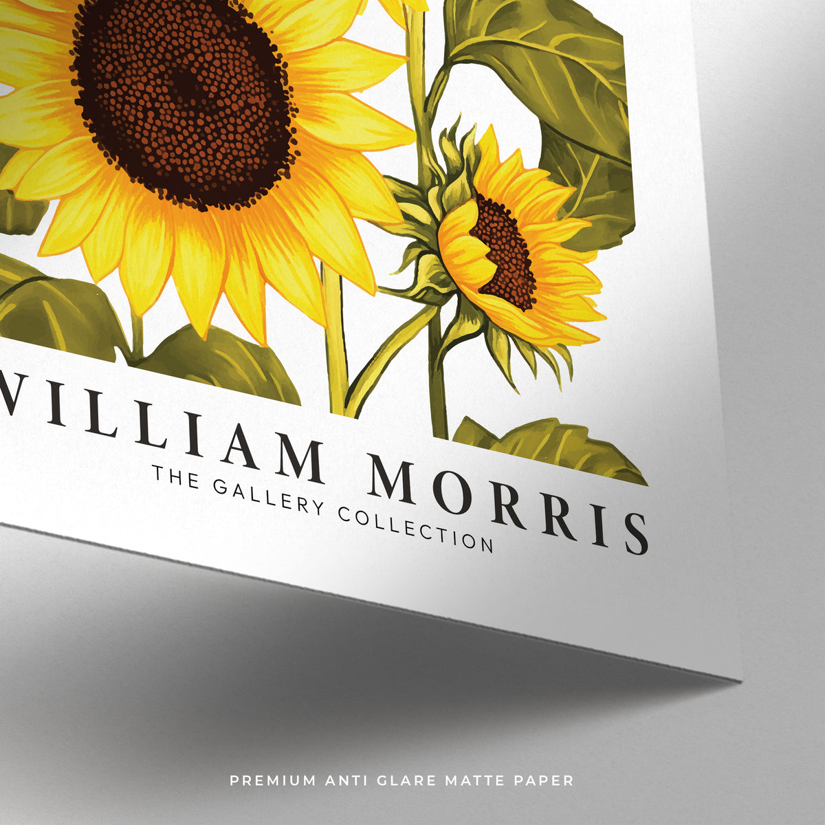 Matte finish sunflower wall art in vintage botanical theme