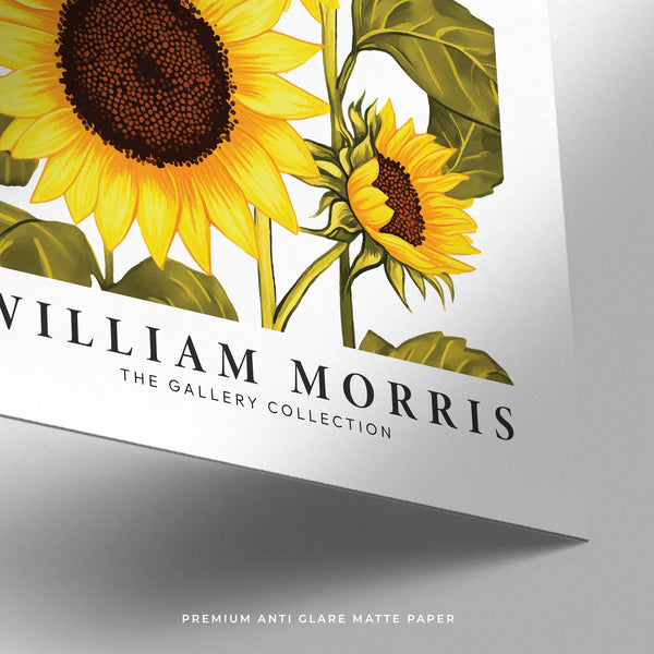 Matte finish sunflower wall art in vintage botanical theme