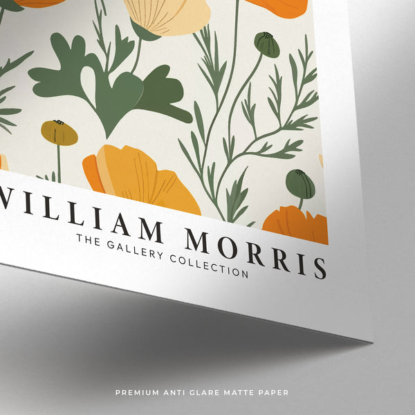 Botanical poster featuring orange poppies on premium matte paper