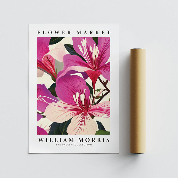 Pink floral prints inspired by classic botanical artwork