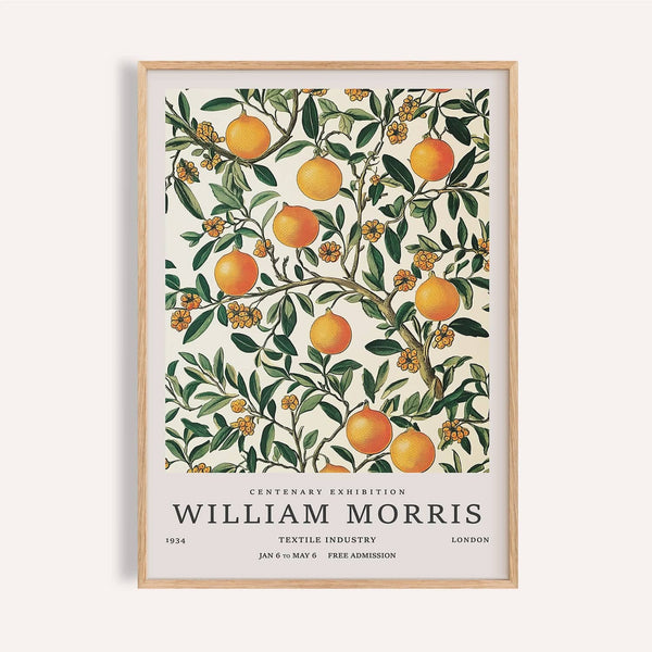 Green and orange large vintage posters featuring citrus fruit for kitchen wall art