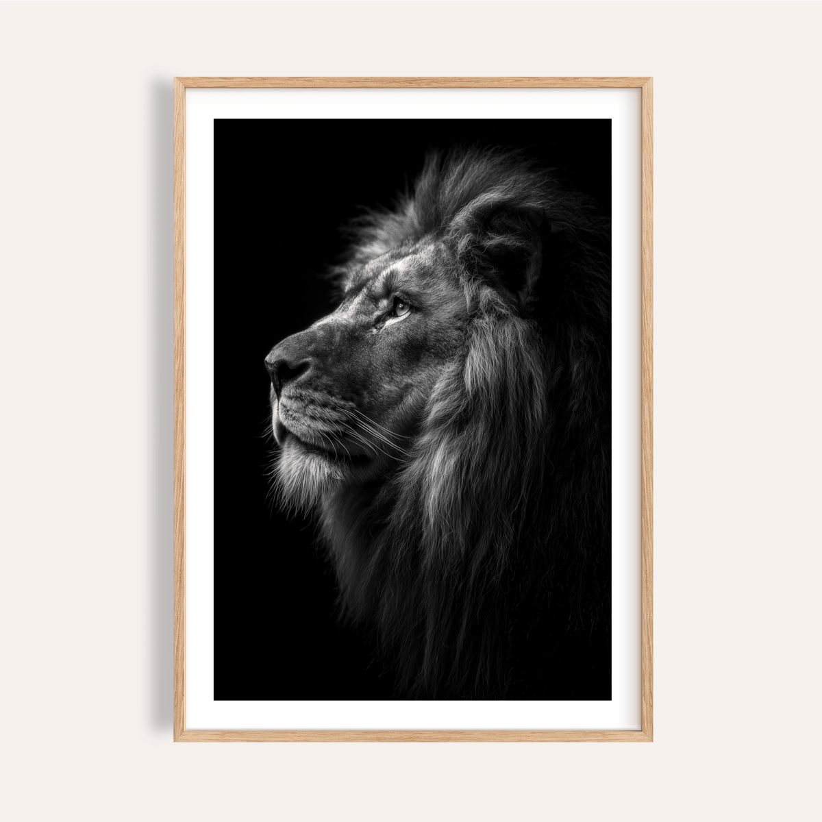 Profile lion poster in black and white with detailed mane