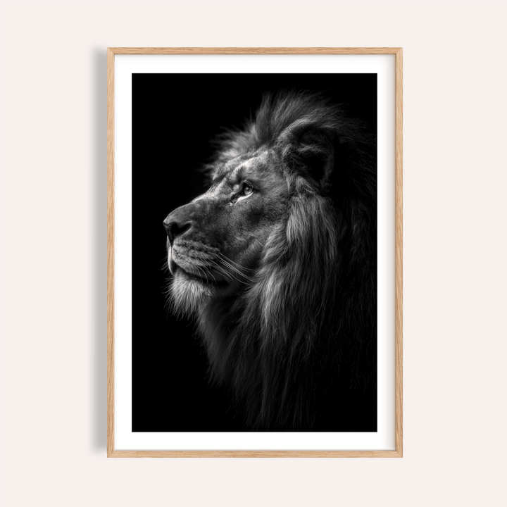 Profile lion poster in black and white with detailed mane