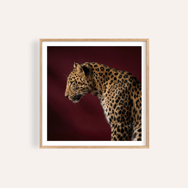 Leopard Art Print side profile with crisp whiskers against soft beige background