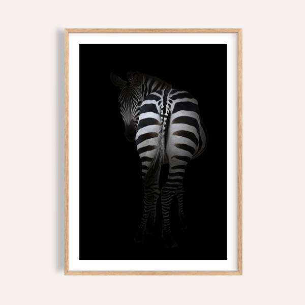 Rear-view zebra photograph poster with bold stripes on dark background