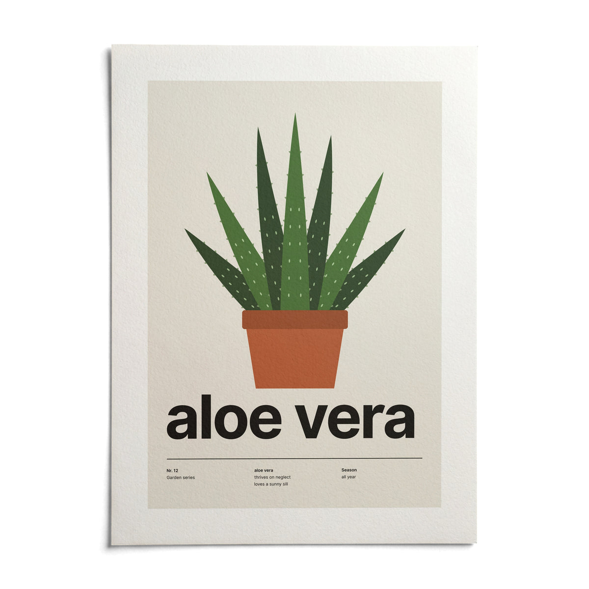 Aloe Vera Print, shown as an unframed paper print on a plain white background