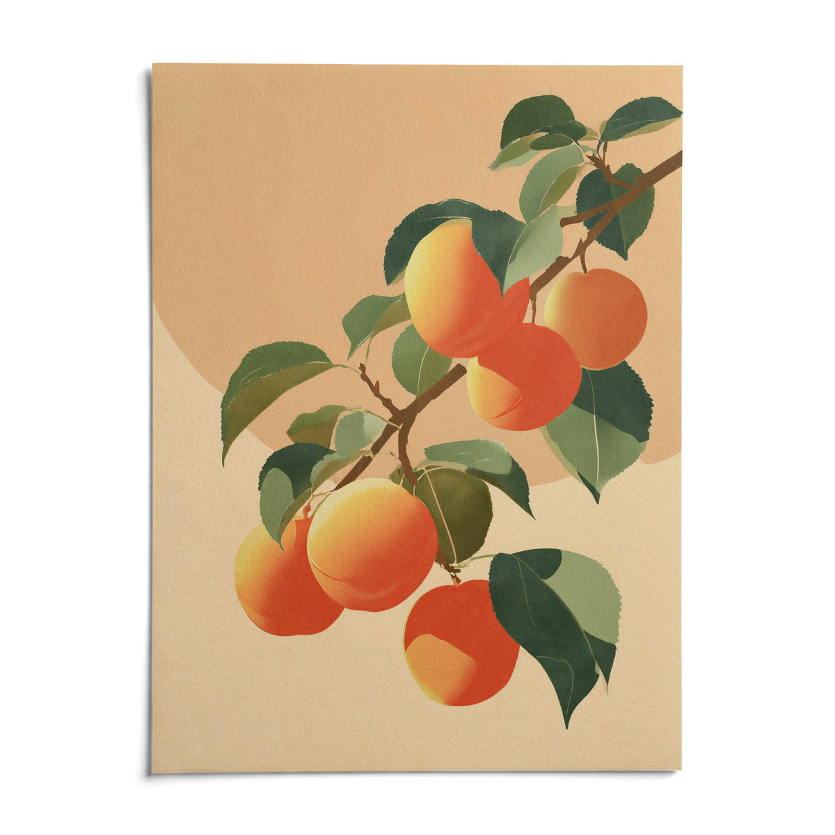 Apricot Wall Print, shown as an unframed paper print on a plain white background