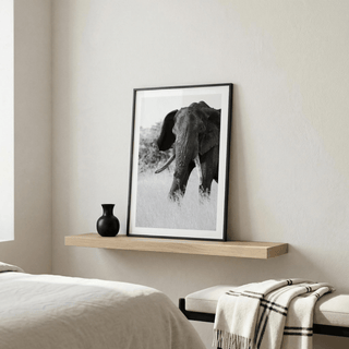 Detailed elephant print showing textured skin and curved tusks in black and white