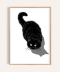 Black Cat Print in Black and White for living room wall art