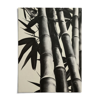 Bamboo Black And White Print, shown as an unframed paper print on a plain white background