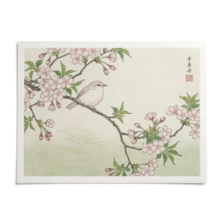 Bird Cherry Blossom Art Print, shown as an unframed paper print on a plain white background
