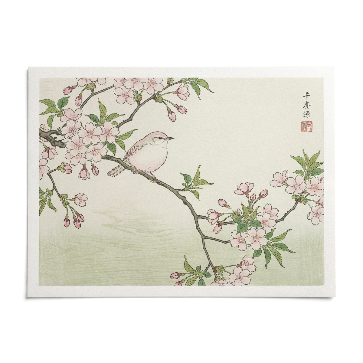 Bird Cherry Blossom Art Print, shown as an unframed paper print on a plain white background
