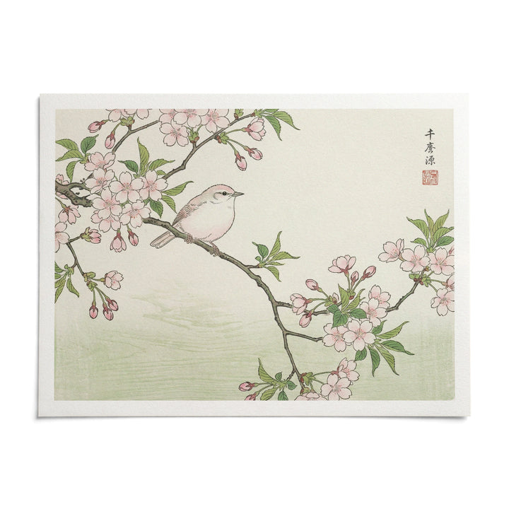 Bird Cherry Blossom Art Print, shown as an unframed paper print on a plain white background