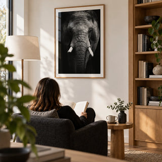 Elephant Print, framed on the wall of a quiet home study with a soft white wall and fitted oak bookshelves to one side