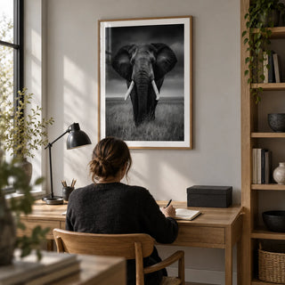 Black And White Elephant Print, framed on the wall of a quiet home study with a pale grey wall and fitted oak shelves