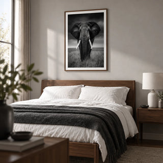 Black And White Elephant Print, framed on the wall of a restful adult bedroom with a pale grey wall and walnut furniture