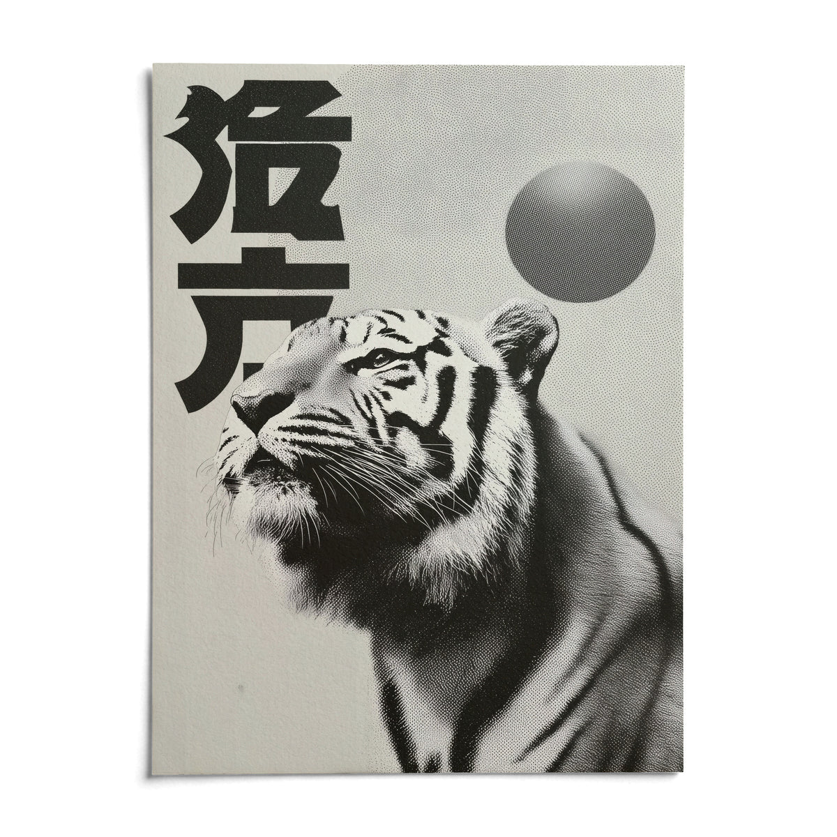 Black And White Tiger Print, shown as an unframed paper print on a plain white background