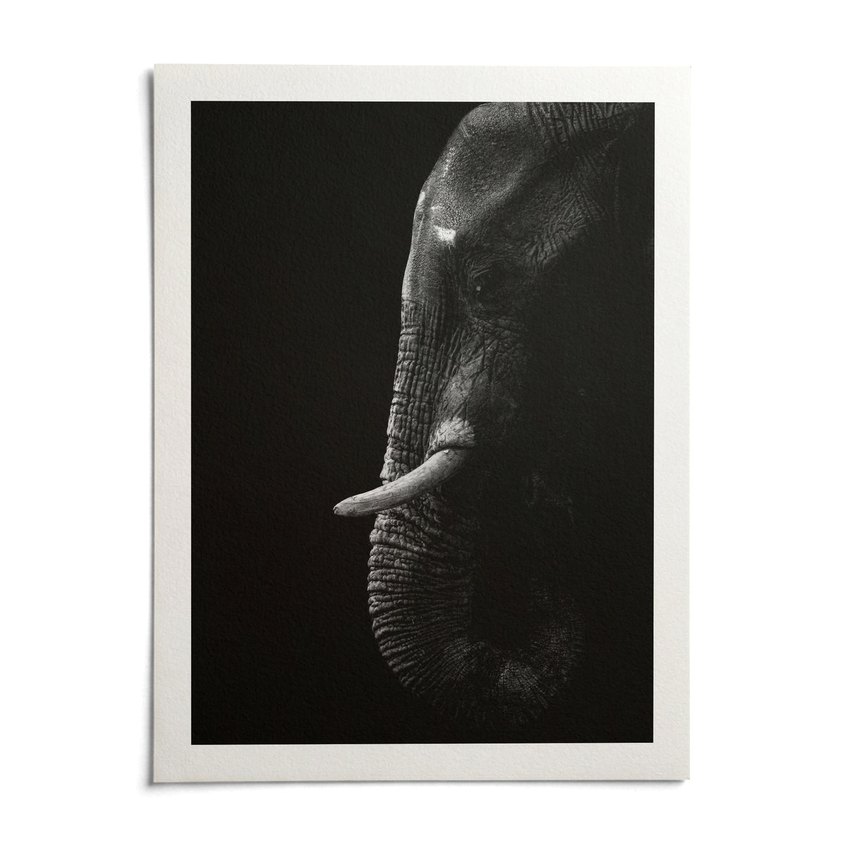 Black Elephant Wall Art, shown as an unframed paper print on a plain white background