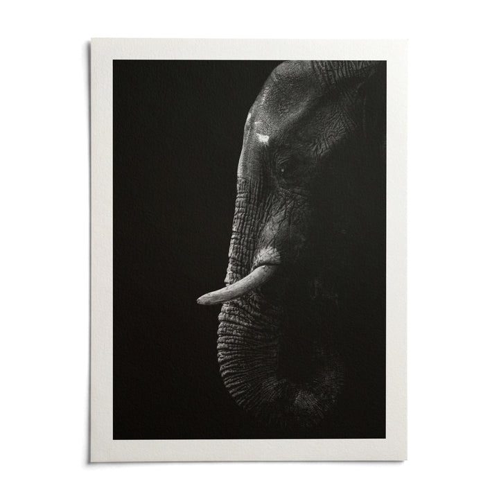 Black Elephant Wall Art, shown as an unframed paper print on a plain white background