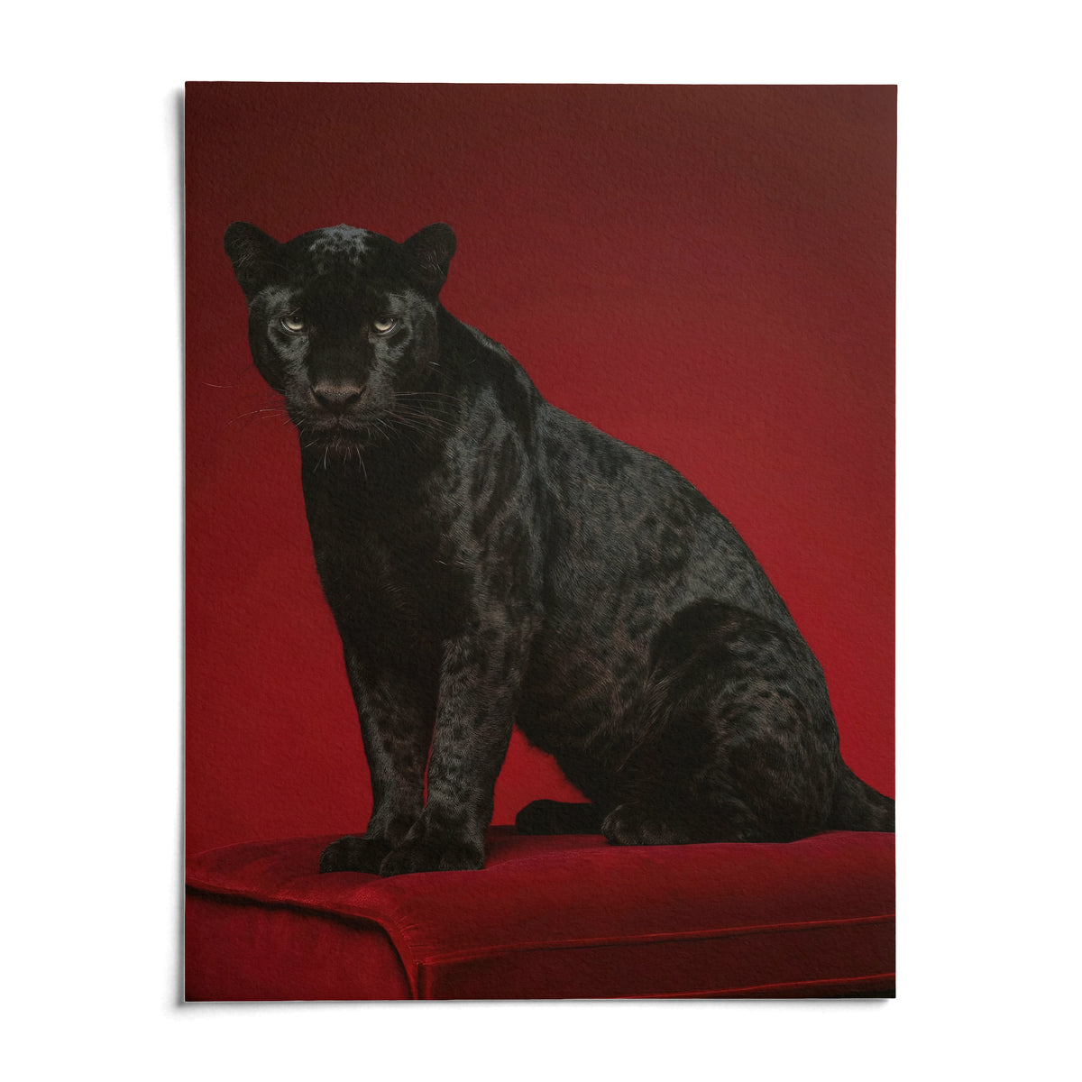 Black Panther Art Print, shown as an unframed paper print on a plain white background