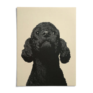 Black Poodle Art, shown as an unframed paper print on a plain white background
