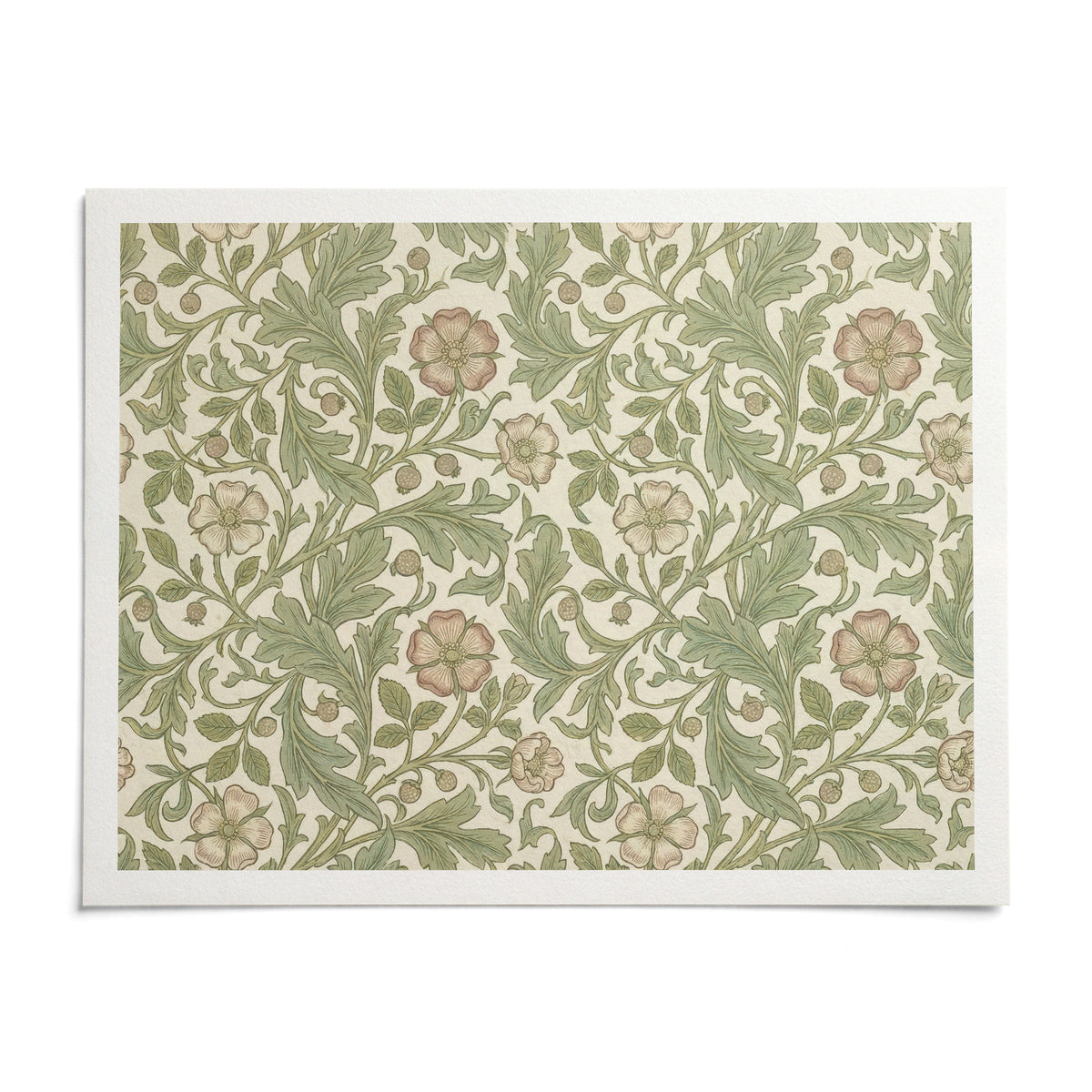 Botanical Wall Decor, shown as an unframed paper print on a plain white background
