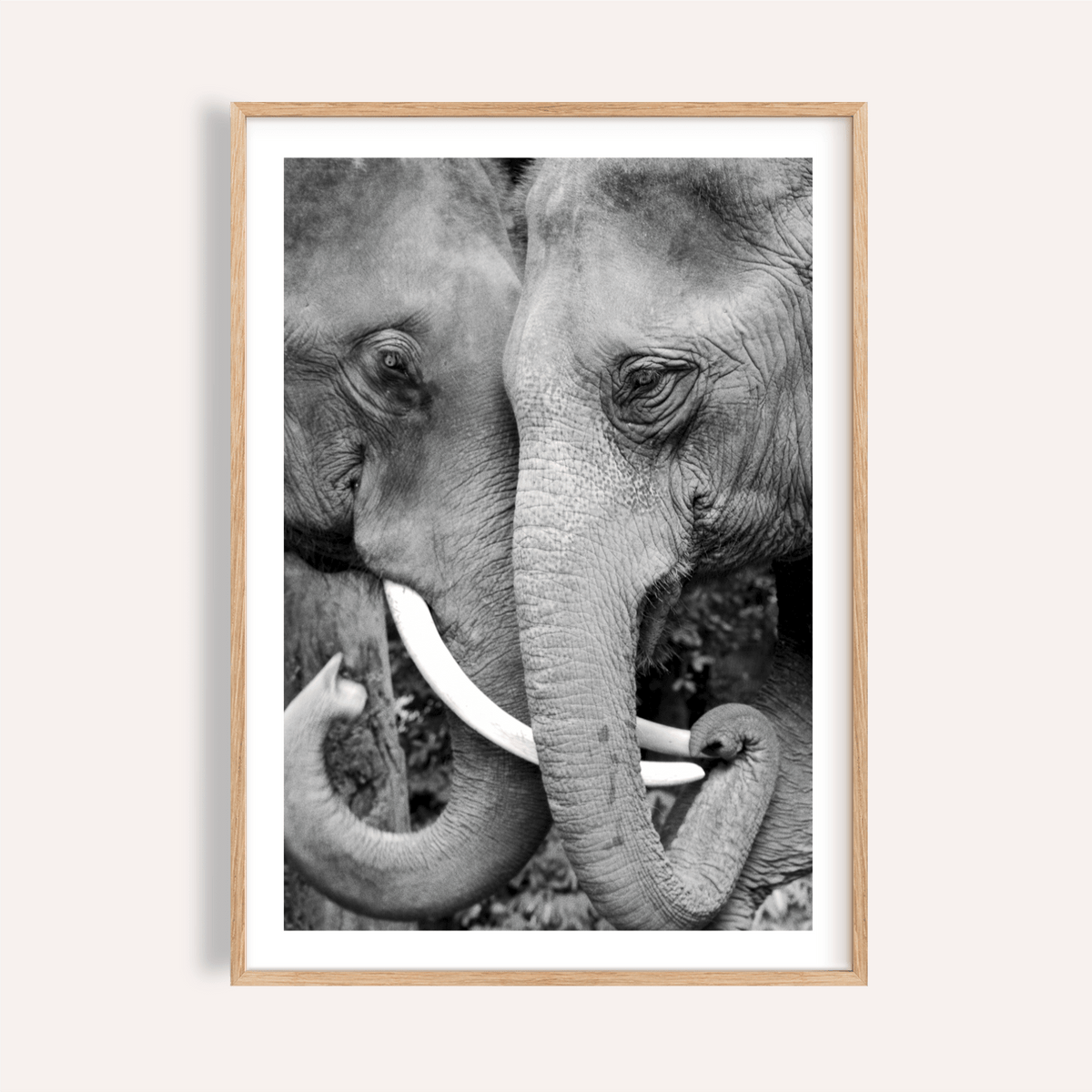 Monochrome elephant wall art print showing two faces and tusks close-up