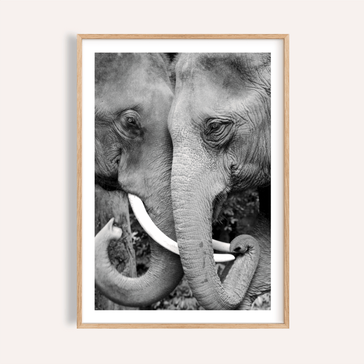 Monochrome elephant wall art print showing two faces and tusks close-up