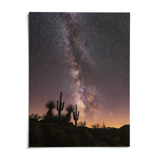 Cactus Night Print, shown as an unframed paper print on a plain white background