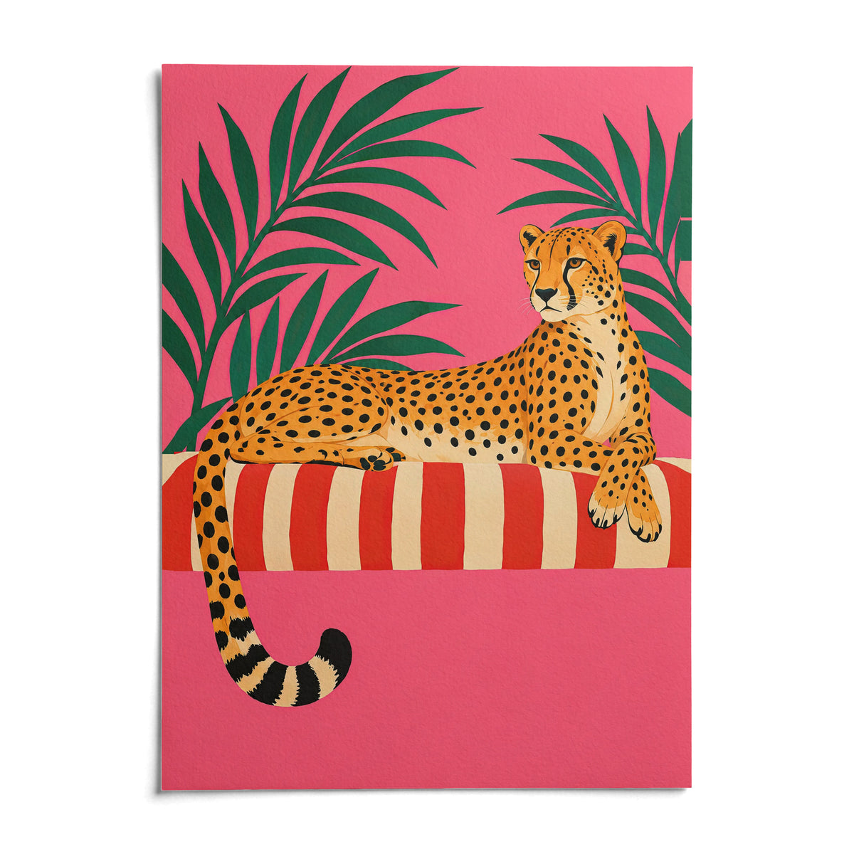 Cheetah Siesta Poster, shown as an unframed paper print on a plain white background