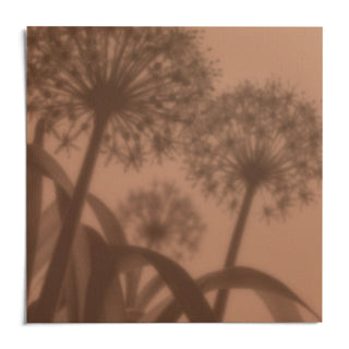 Cocoa Allium Print, shown as an unframed paper print on a plain white background