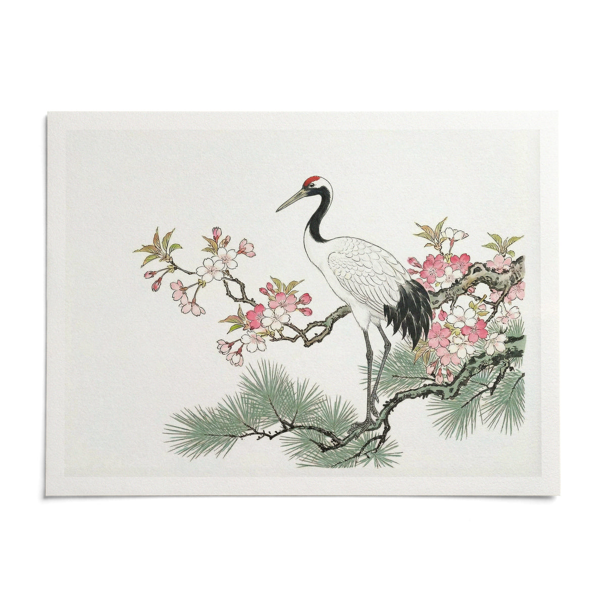 Crane Cherry Blossom Art Print, shown as an unframed paper print on a plain white background
